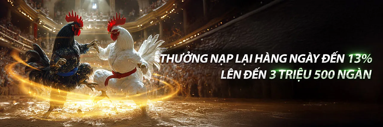 Tin tức qq484 nhà cái 2026